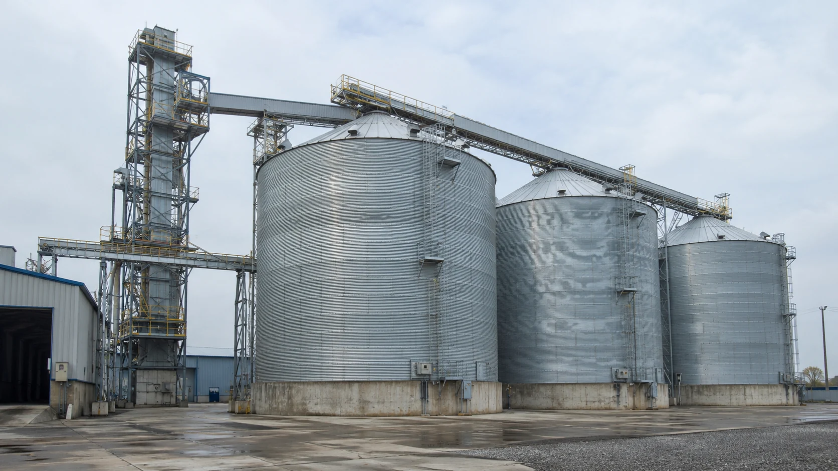 Galvanized corrugated steel silos with elevator tower and supported conveyor